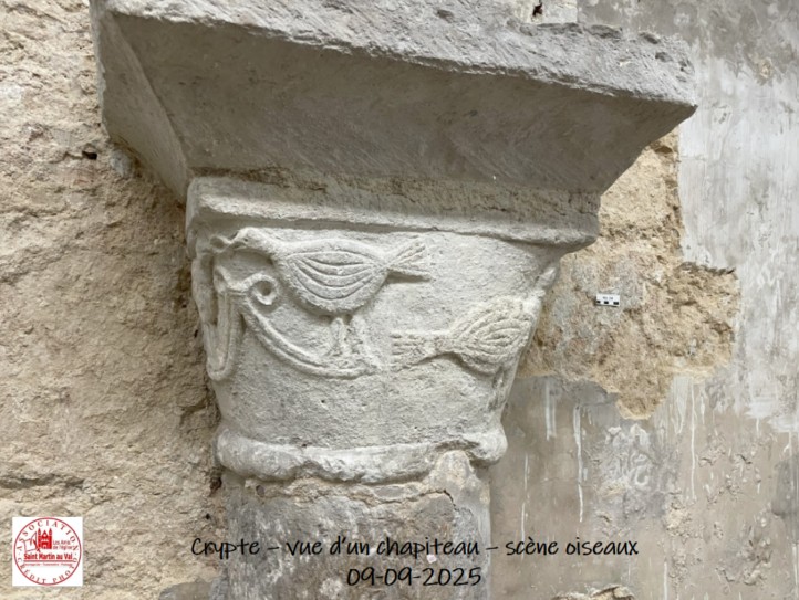 CRYPTE - VUE D'UN CHAPITEAU - SCENE OISEAUX